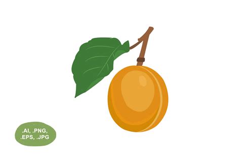 Fruit Graphics 的图像结果