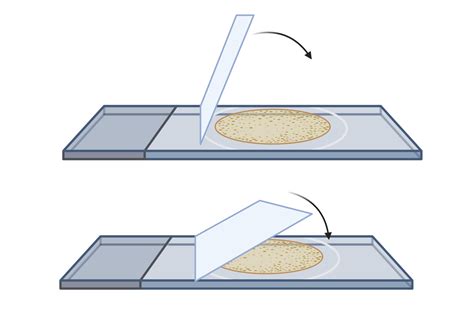 Image result for How to Use Digital Microscope