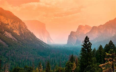 Yosemite Majesty: Stunning Mountain and Forest Cliff HD Landscape Wallpaper | 1920x1200 ...