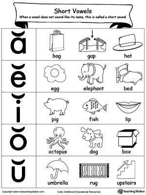 Image result for Computer Mouse Collection Display
