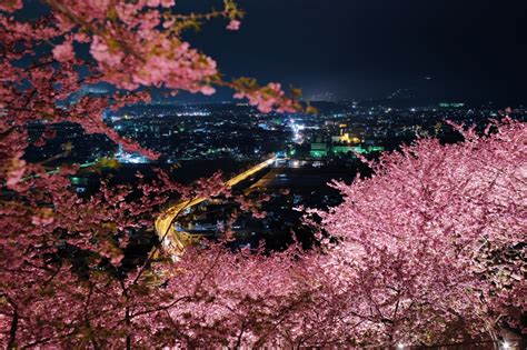 春の夜 by K.O （ID：4247542） - 写真共有サイト:PHOTOHITO