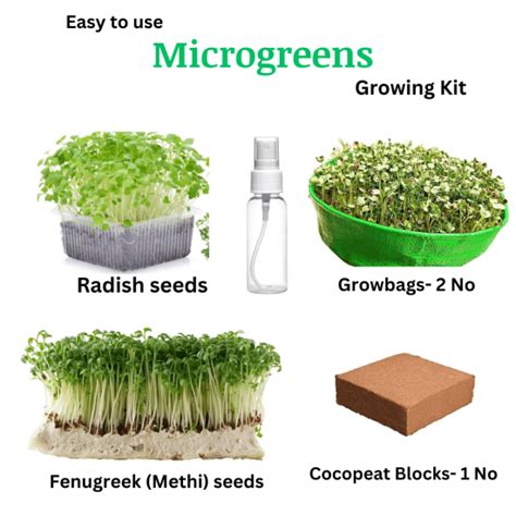 Buy microgreen growing kit Online in India