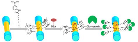 A Novel Fiber Optic Surface Plasmon Resonance Biosensors with Special ...