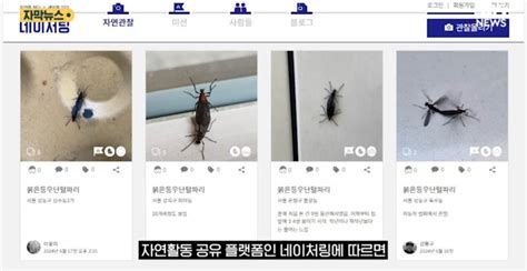 Image result for Unique Learning Method