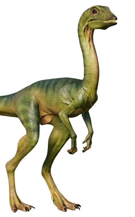 Compy Comp 的图像结果