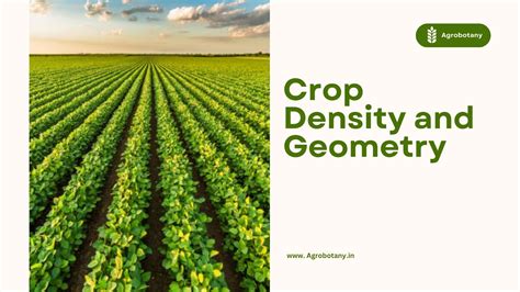 Crop Density and Geometry - Agrobotany