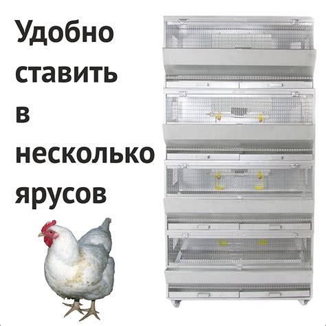 Миниферма для кур-бройлеров "Сомино 98" до 36 голов