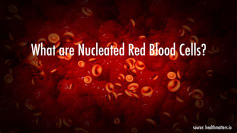 What are Nucleated red blood cell (NRBC)?