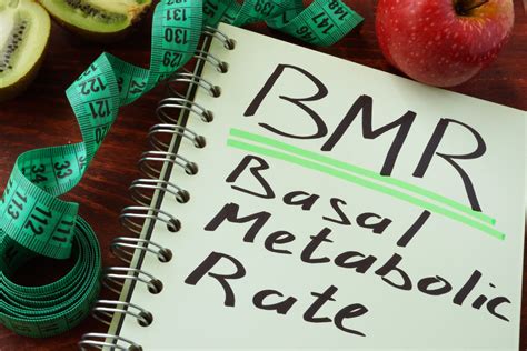 BMR Formula (Basal Metabolic Rate)