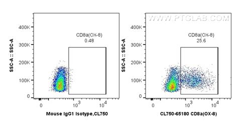 CD8a antibody (CL750-65180) | Proteintech