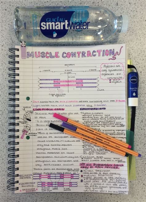 Image result for Linear Note Taking College Work Example