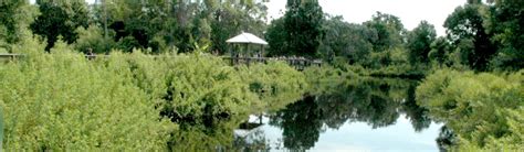 D.J. Wilcox Preserve | St. Lucie County, FL