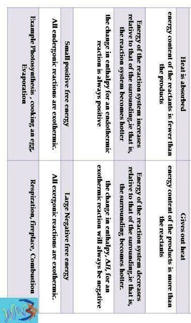 Differentiate between exothermic and endothermic reactions in two ...