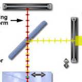 Image result for DIC Microscopy Tutorial