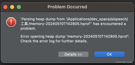 Java Hprof 的图像结果