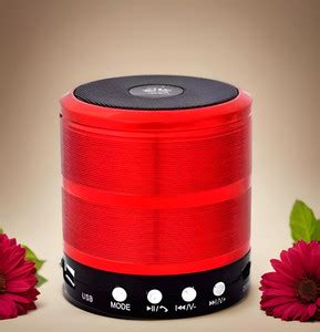 Buy GUGGU DJ Box 5W Bluetooth Speaker with FM Radio, Mic & USB Pen ...