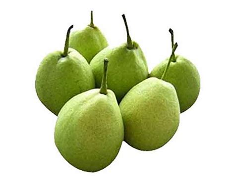 Fresh Pear Indian Nashpati Fruit, 500 g : Amazon.in: Grocery & Gourmet ...