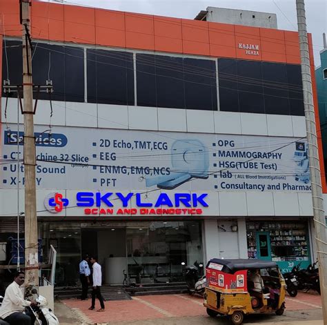 SKYLARK Scan and Diagnostics