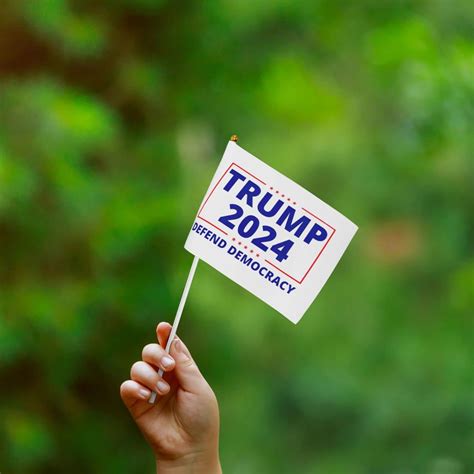 Buy Defend Democracy Handheld Flag Double Sided Flags Small Mini Stick ...