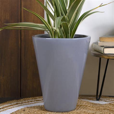 Best Indoor Air Purifying Plants For Better Living | LBB