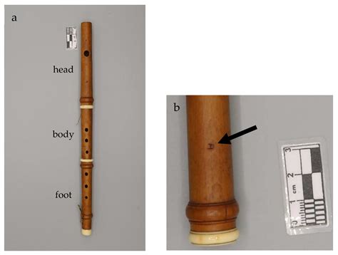 X-ray Computed Tomography Analysis of Historical Woodwind Instruments ...