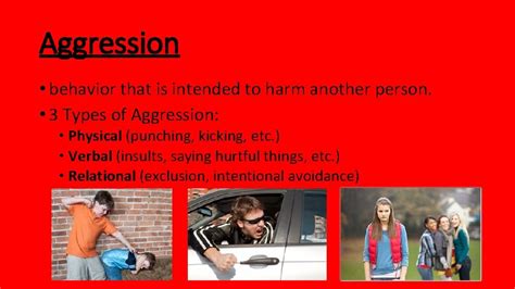 Aggression Behavior 的图像结果
