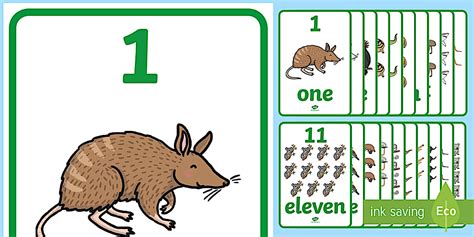 Australian Animals Numbers 1-20 Display Posters