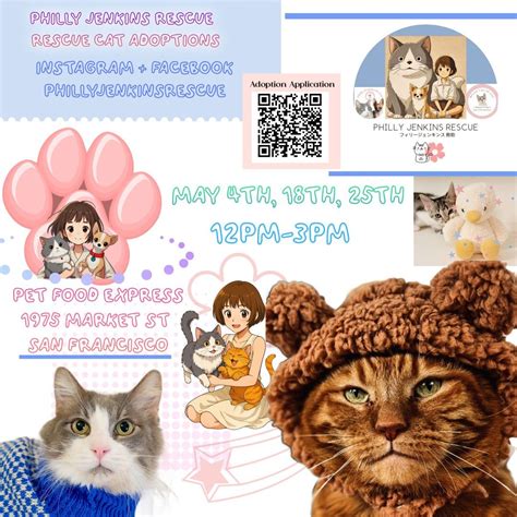 Philly Jenkins Rescue Cat Adoption Event, 1975 Market St, San Francisco ...