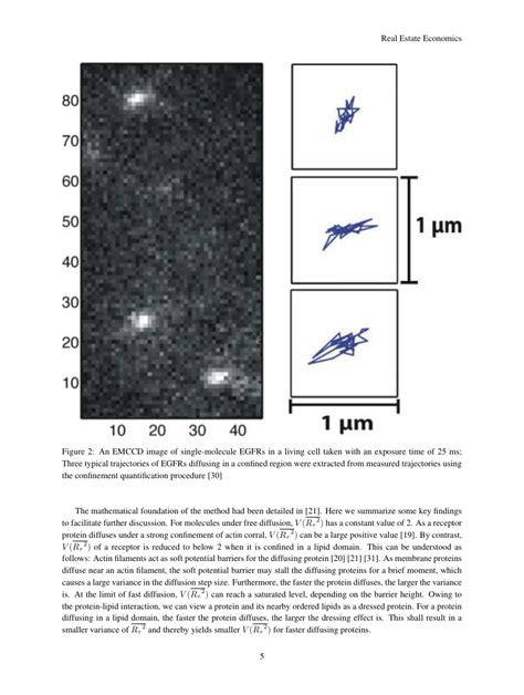Example Engineering Journal 的图像结果