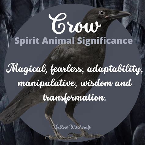 Crow Spirit Animal Significance