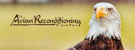 Volunteer Drive at The The Avian Reconditioning Center For Birds of ...