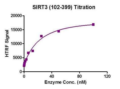 Recombinant SIRT3 (102-399) protein | Proteintech
