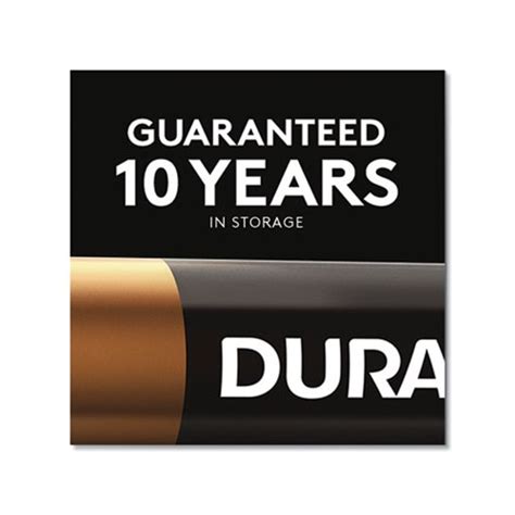 Buy ION SPEED 4000 Hi-Performance Charger Includes 2 AA and 2 AAA NiMH ...