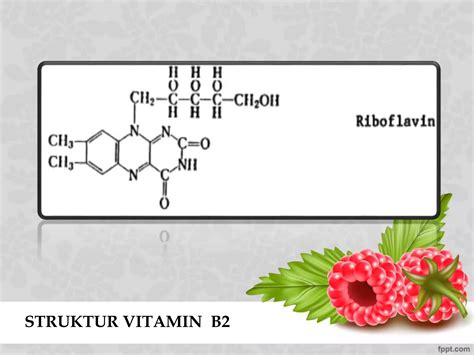 Vitamin | PPTX
