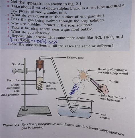 Zinc And Hydrochloric Acid Together at Douglas Borba blog