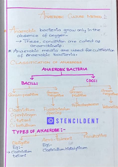 Anaerobic Culture Methods - Microbiology Notes