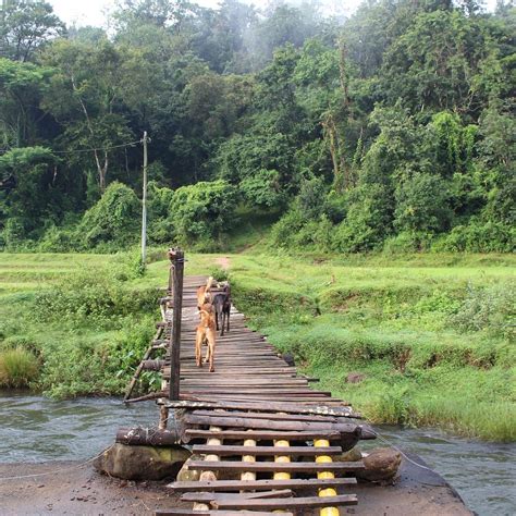 KALINDI RIVER RESORT (Mananthavady) - Ranch Reviews & Photos - Tripadvisor