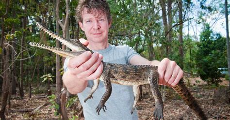 UK Crocodile Expert Jailed in Australia for Raping and Torturing Dozens ...