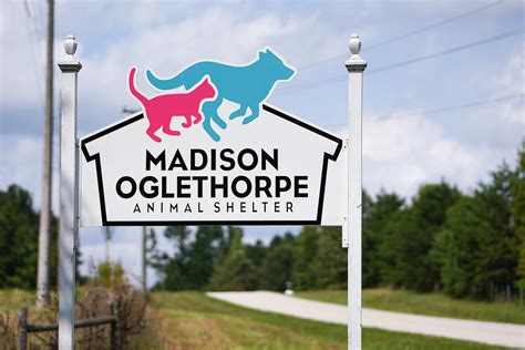 Free pet adoptions skyrocket at MOAS | The Oglethorpe Echo