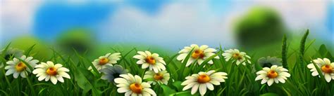 Spring/Summer View 的图像结果