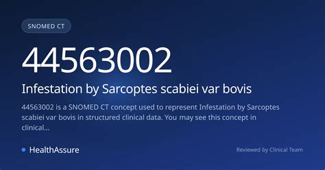 SNOMED CT 44563002 | Infestation by Sarcoptes scabiei var bovis ...