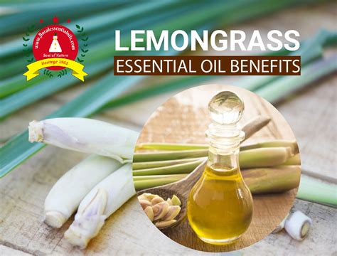 Benefits of Lemongrass Essential Oil | Lemongrass Oil For Skin