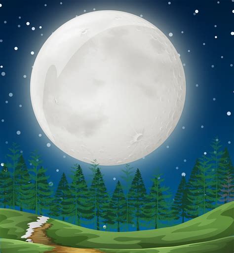 Lua cheia desenho Vectors - Download Free High-Quality Vectors from ...