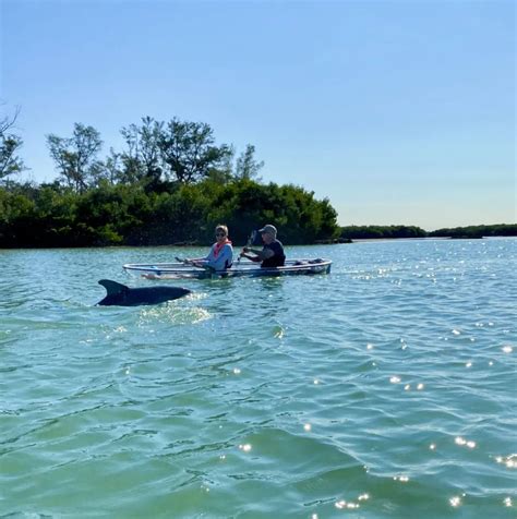 Image result for Kayaking Shell Key Preserve