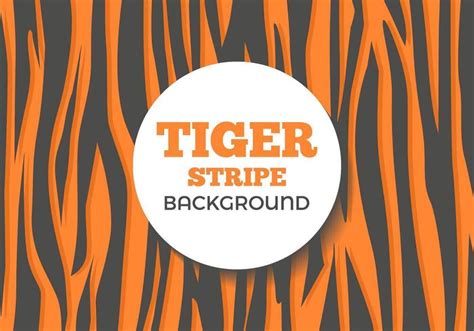 Image result for Tiger for Scratch Coding