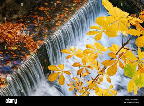 Autumnal Waterfall Tutorial 的图像结果