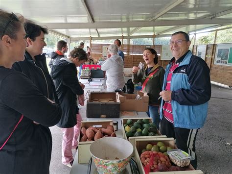 Christmas Discount Organic Local Produce 的图像结果