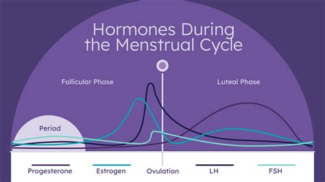 Is It Normal To Miss A Period