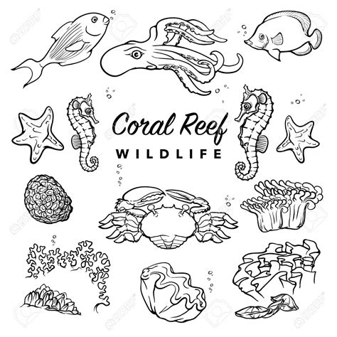 Image result for Coral Reef Drawing Tutorial