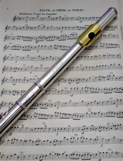 Image result for Flute Lessons